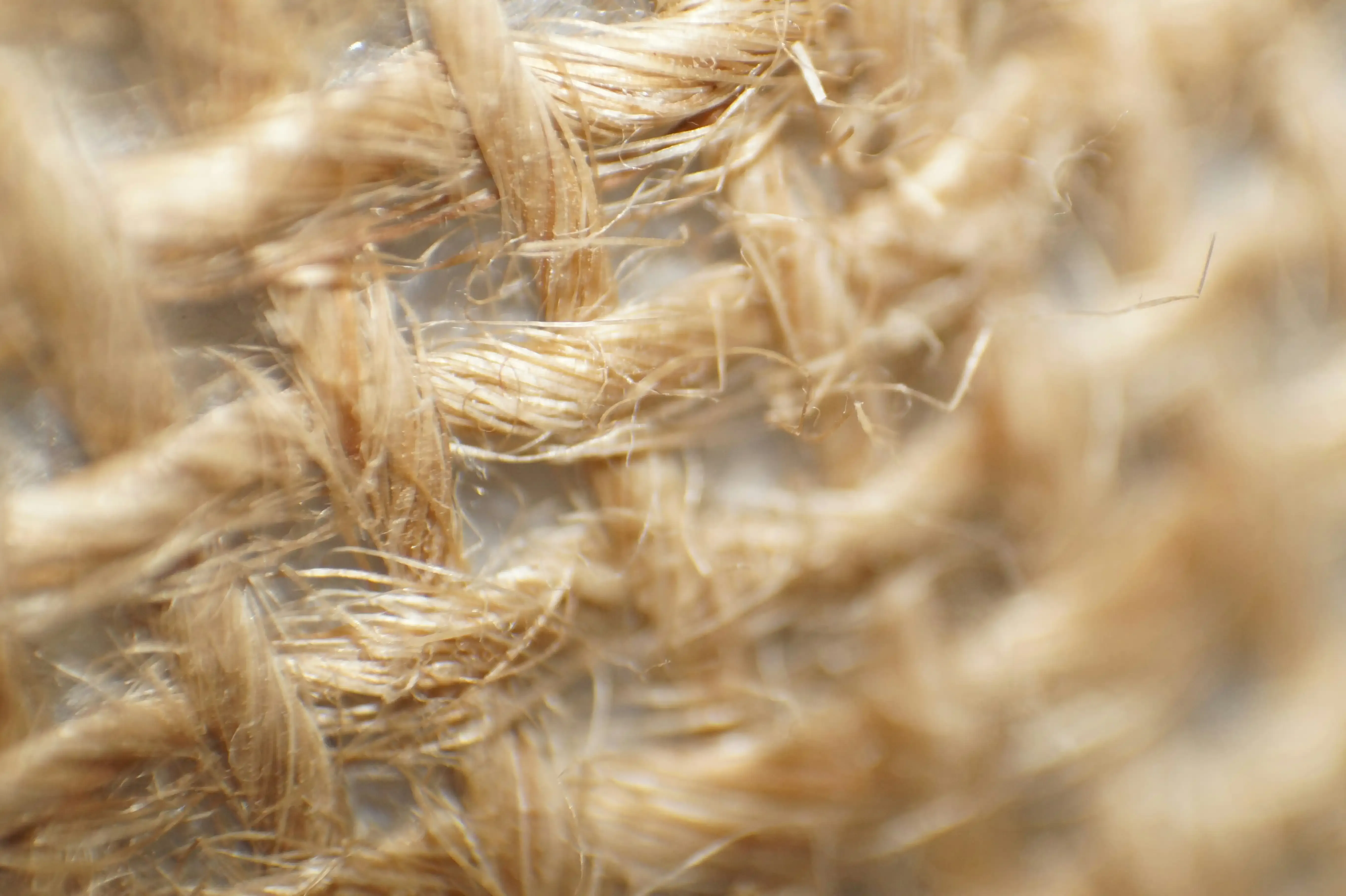 Fibers