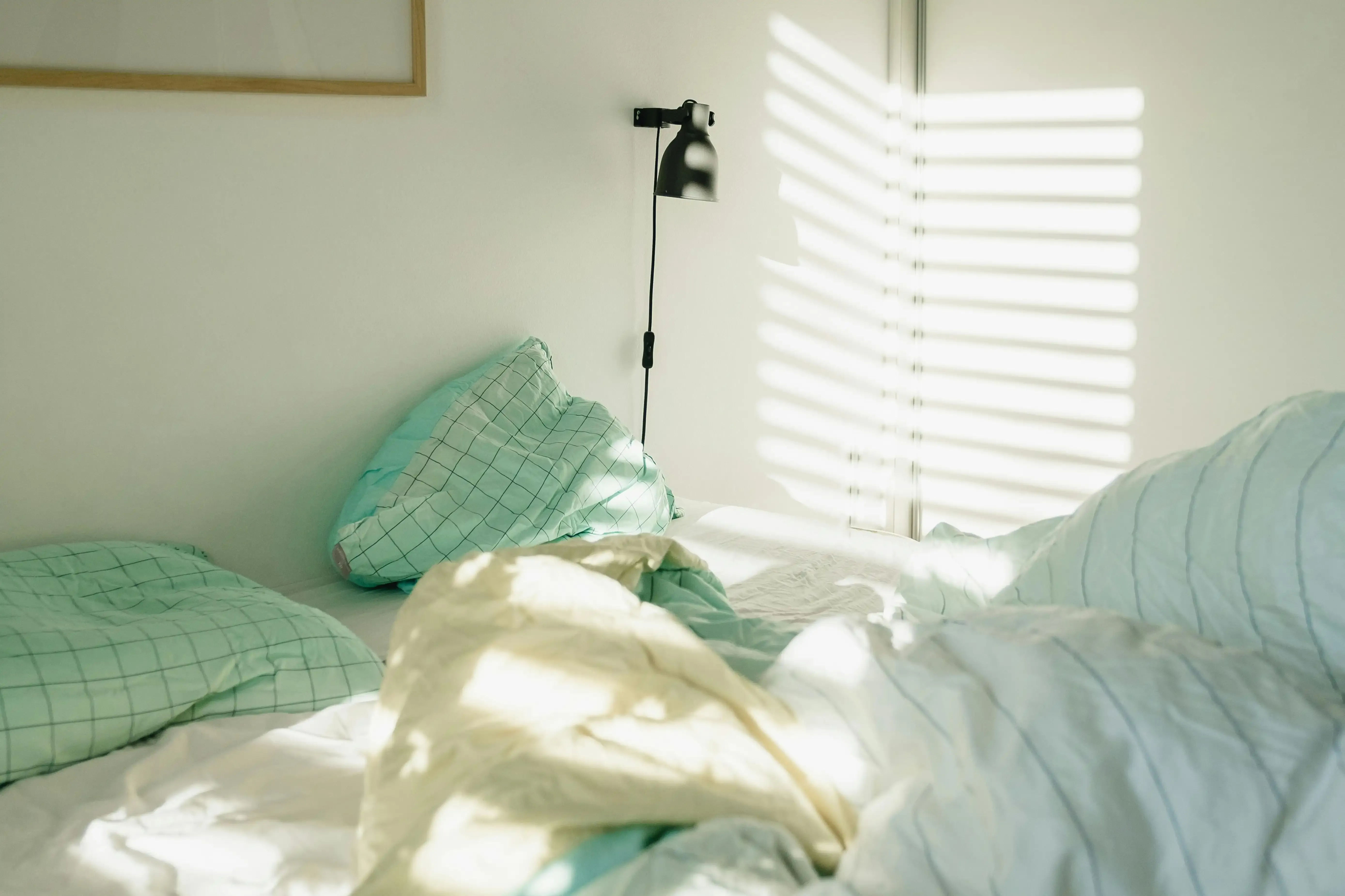 Home Blankets, Bedspreads, Quilts