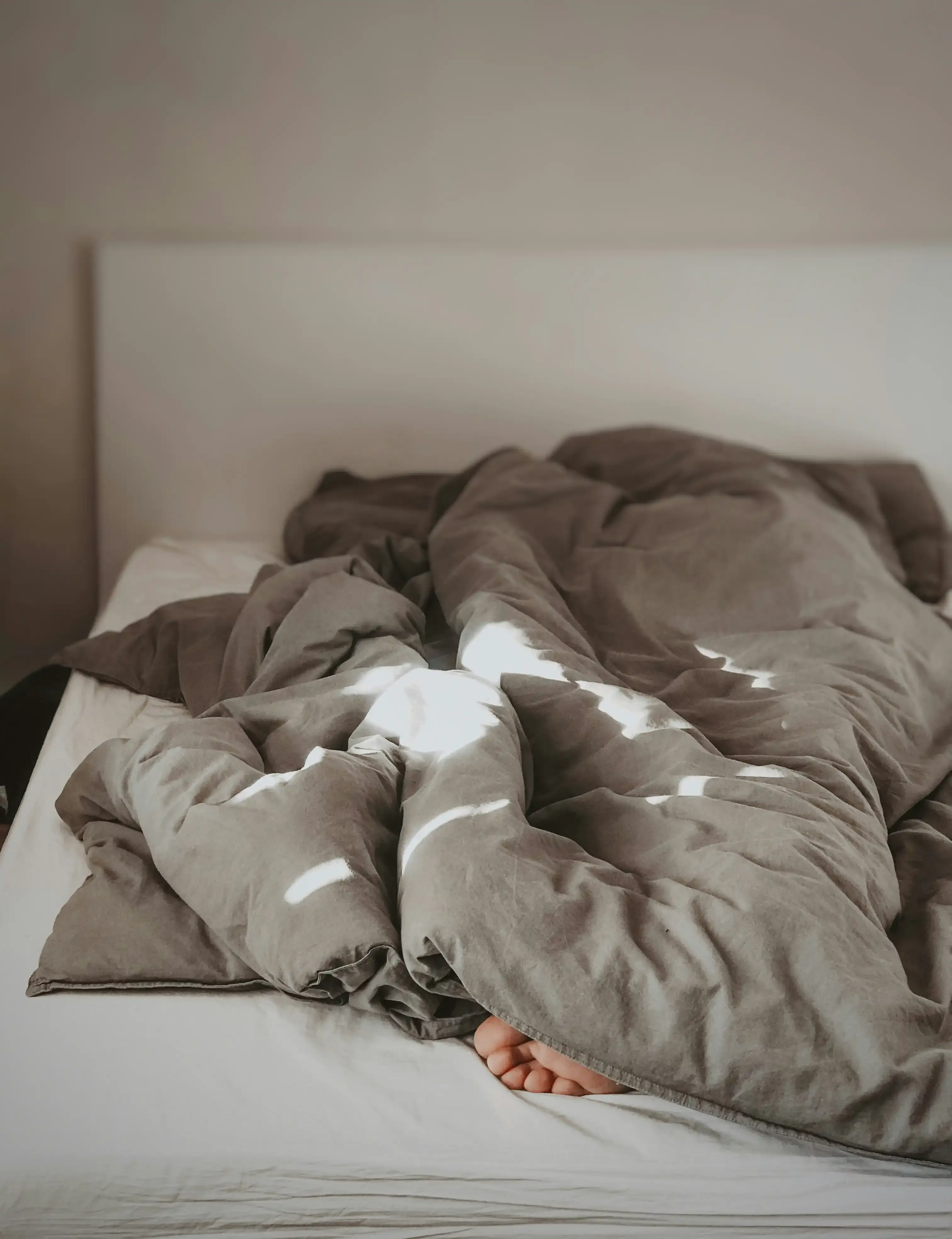 Home Sleeping Bags