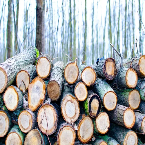 Landscaping timbers