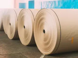 Pulp And Paper Products