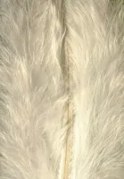Fabrics Bonded Feather