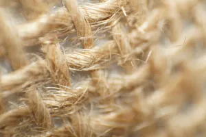 Fibers