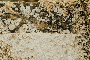 Processed Post-Consumer Materials Pulp