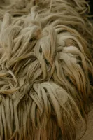 Animal-based Fibers And Materials