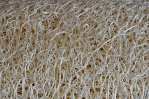 Manmade Cellulosic Fibers