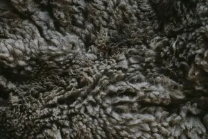 Undyed Yarns
